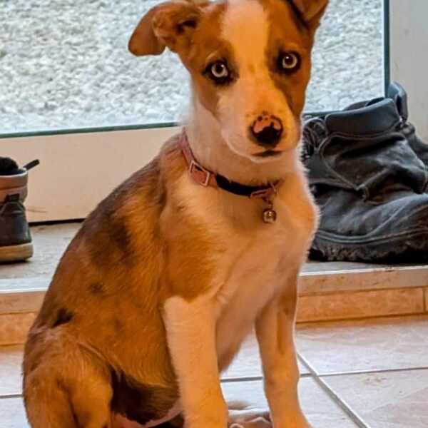 3416853176482701045-600×1105