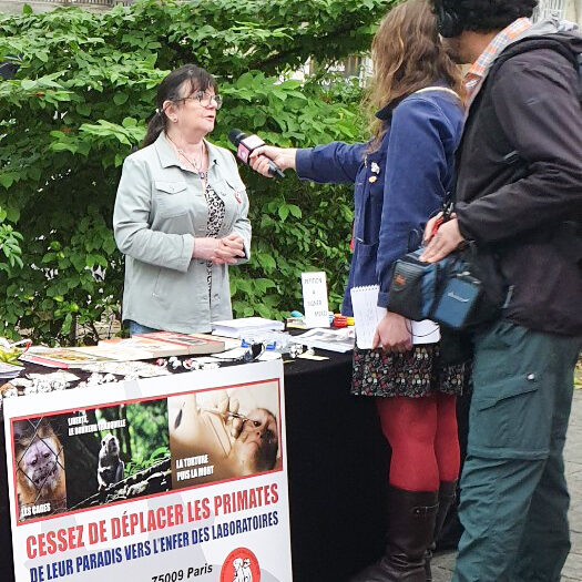 4130509640016860451-1