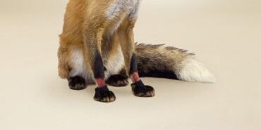 4a35e37093bc153f0c81e09a1c71b75c