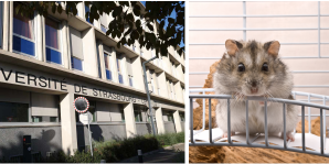 5d654e2538ec0247588989-1