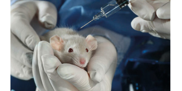 Trimestriel-211-LFCV-1-600×843