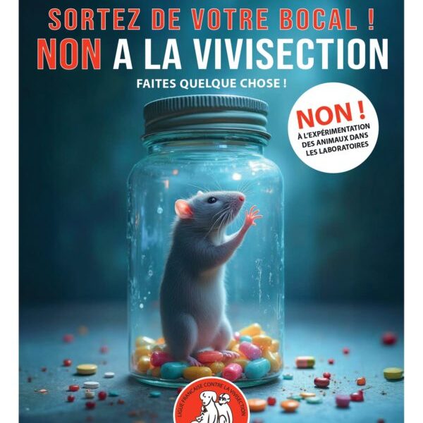 Trimestriel-216-LFCV-1_page-0001-600×848