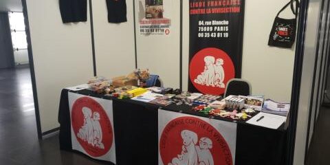 lfcvverybio2018tours-8